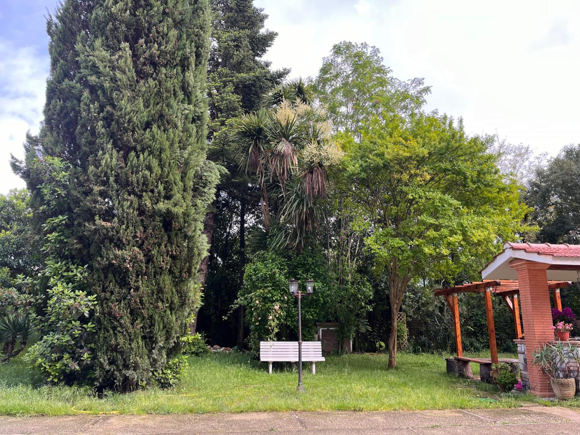 Nel Giardino Segreto Appartement San Giorgio a Liri Buitenkant foto